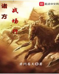 诸方战场行章节列表