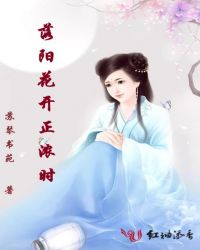 洛阳花开正浓时章节列表