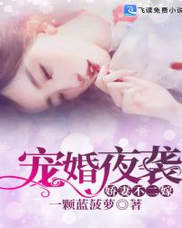 宠婚夜袭：娇妻不二嫁章节列表