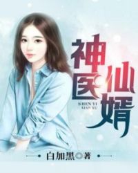 神医仙婿章节列表