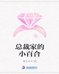 总裁家的小百合章节列表
