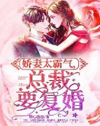 娇妻太霸气，总裁要复婚章节列表