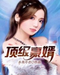 顶级豪婿章节列表