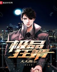 极品狂婿章节列表