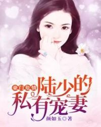 豪门危情：陆少的私有宠妻章节列表