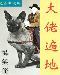 龙马会章节列表