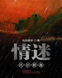 情迷托尔斯泰章节列表