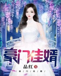 豪门佳婿章节列表