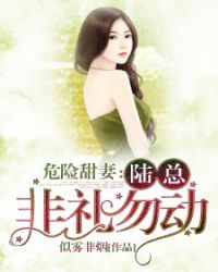 危险甜妻：陆总，非礼勿动章节列表