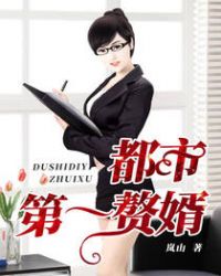 都市第一赘婿章节列表