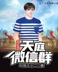 我手机里有天庭微信群章节列表