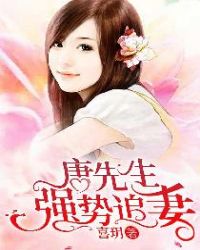唐先生强势追妻章节列表