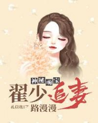 神秘萌宝：翟少追妻路漫漫章节列表