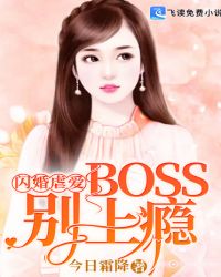 闪婚虐爱：BOSS别上瘾章节列表