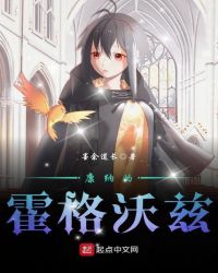 康纳的霍格沃兹章节列表