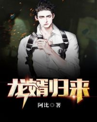 龙婿归来章节列表