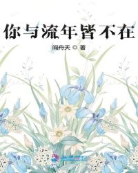 你与流年皆不在章节列表