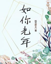 如你光年章节列表