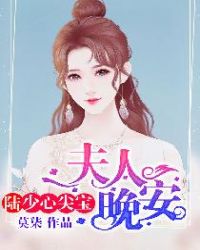 陆少心尖宝：夫人，晚安！章节列表