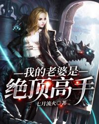 我的老婆是绝顶高手章节列表