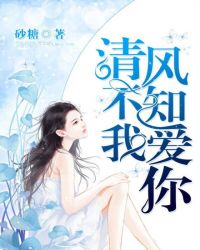 清风不知我爱你章节列表