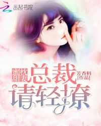 蜜枕甜妻：总裁，请轻撩章节列表