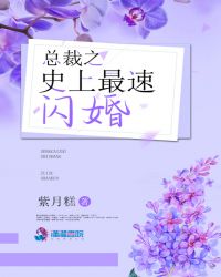 总裁之史上最速闪婚章节列表