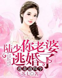 逃妻通缉令：陆少，你老婆逃婚了章节列表