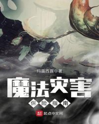 魔法灾害保险指南章节列表