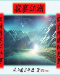 寂寥江湖章节列表