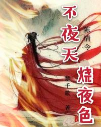 [陈情令]不夜天，烧夜色章节列表