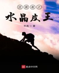 逆袭者之水晶皮王章节列表