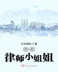 你好律师小姐姐章节列表