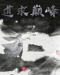 道求巅峰永不休章节列表