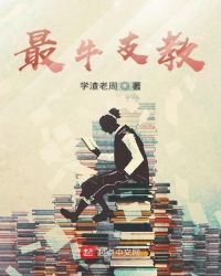 最牛支教章节列表