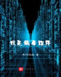 我是病毒程序章节列表