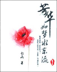 芳华如梦水东流章节列表