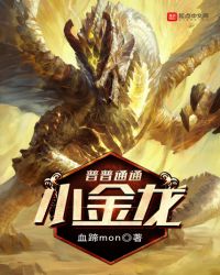 普普通通小金龙章节列表