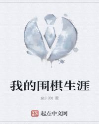 我的围棋生涯章节列表