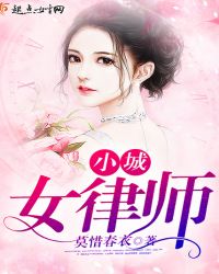 小城女律师章节列表