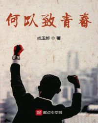 何以致青春章节列表