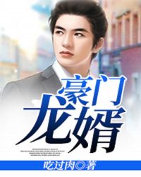 豪门龙婿章节列表