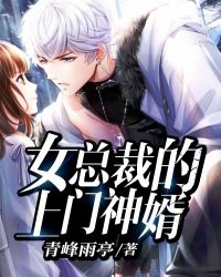 女总裁的上门神婿章节列表