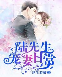 陆先生宠妻日常章节列表