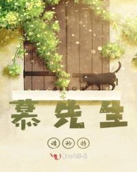 慕先生请矜持章节列表