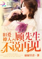 旧爱新婚：总裁前夫求放过章节列表