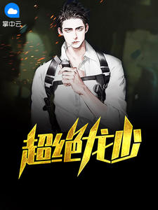 超绝龙少章节列表
