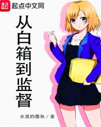 从白箱到监督章节列表