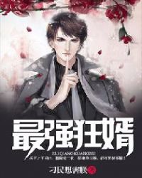 最强狂婿章节列表