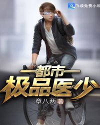 都市极品医少章节列表